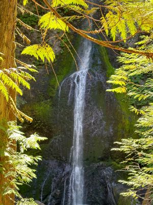 Marymere Falls near Lake Crescent